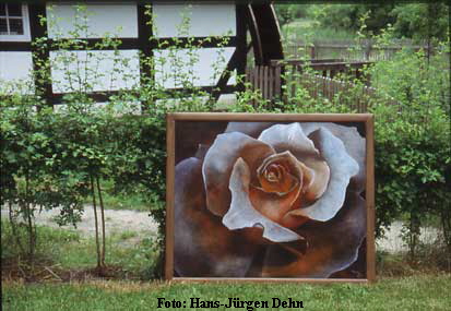 Foto: Hans-J�rgen Dehn