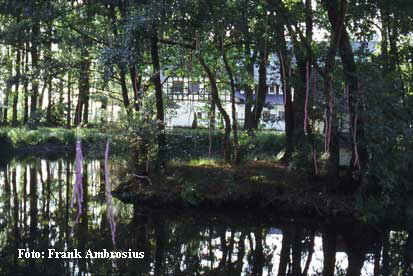 Foto: Frank Ambrosius