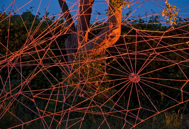 nordwohlde_spinnennetz_von_meh_074-011.jpg