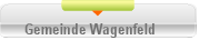 Gemeinde Wagenfeld