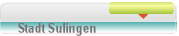 Stadt Sulingen